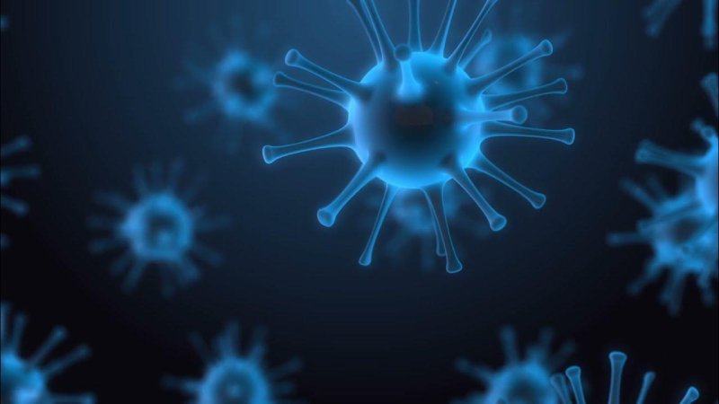 Фон для презентации вирусы