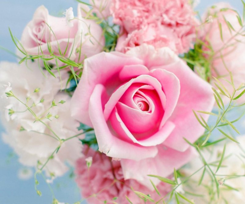 Розовые цветы