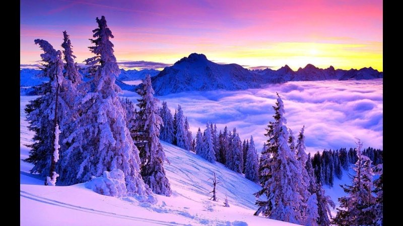 Снежный пейзаж