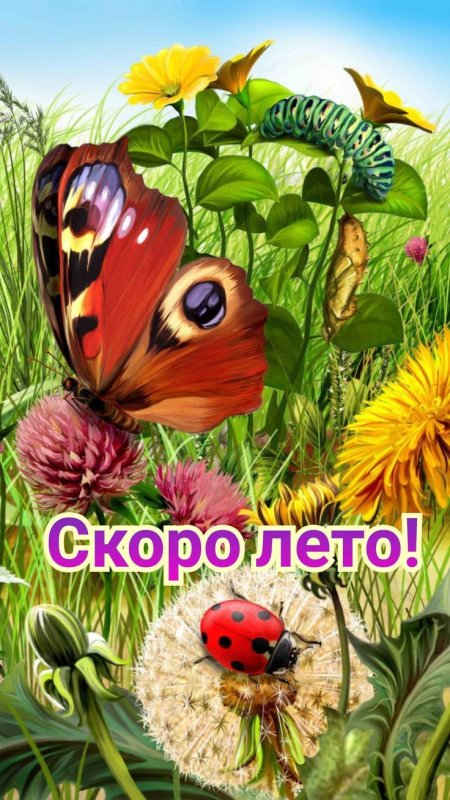 Природа летом