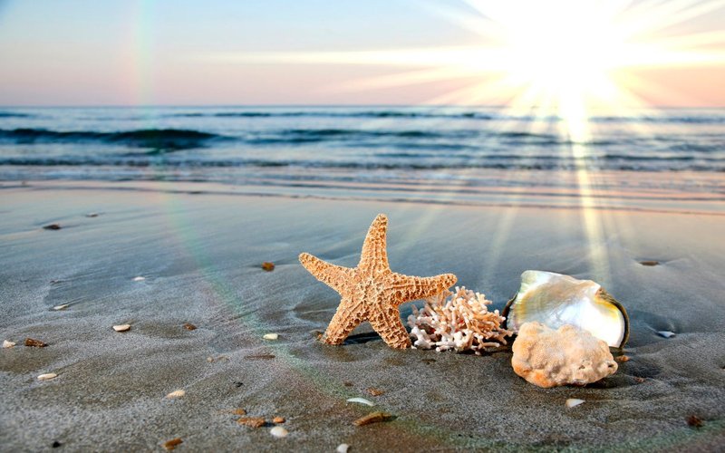 Природа море