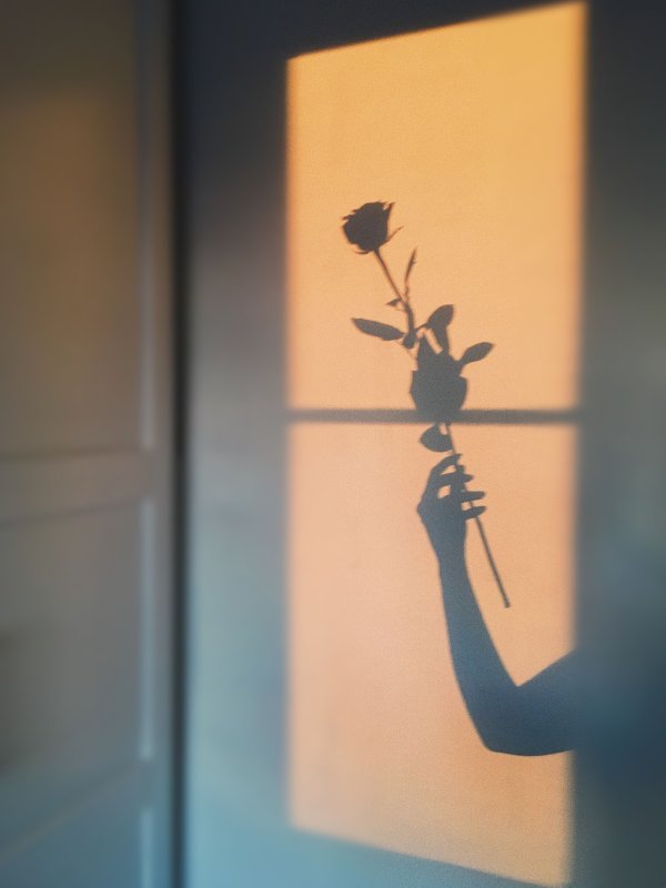 Тень на стене