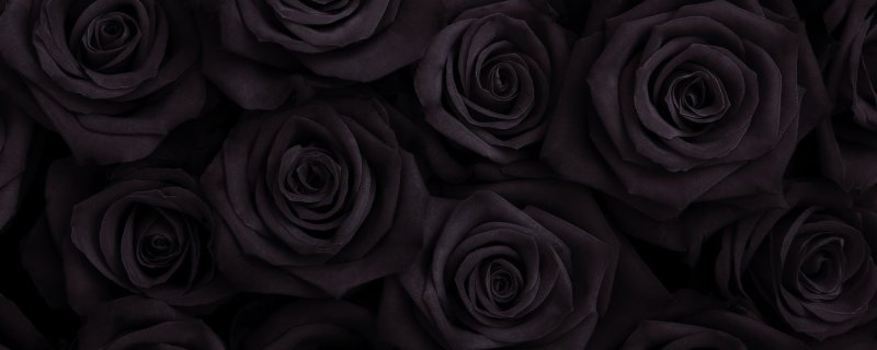 Черная роза