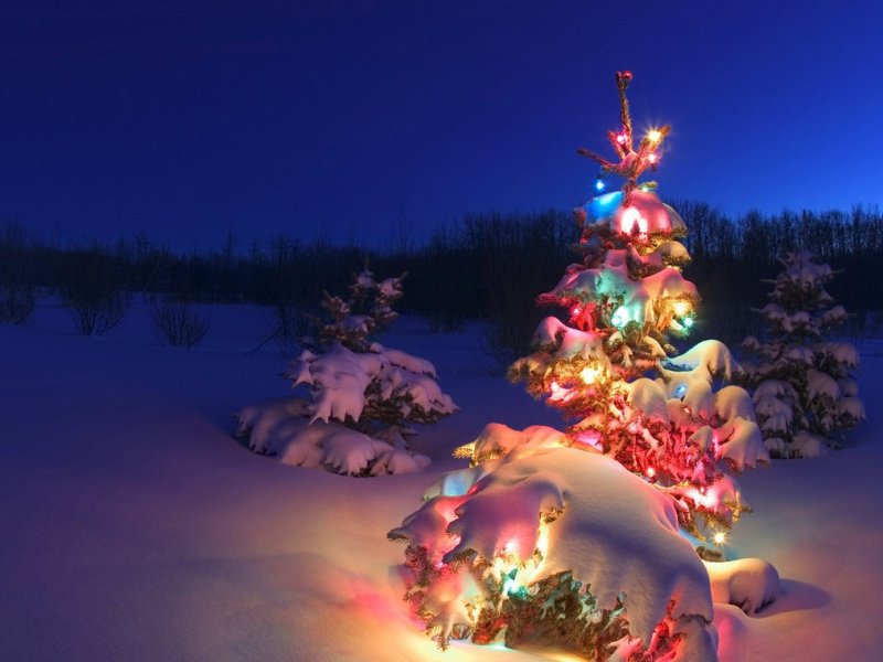 Зима новый год