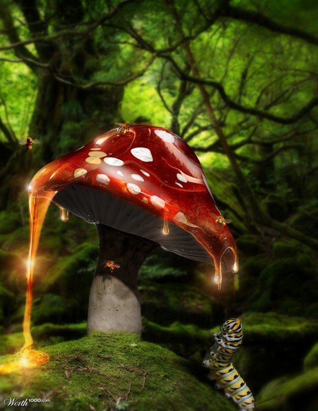 Грибы фэнтези