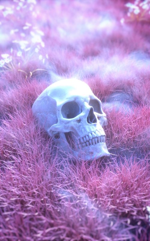 Розовый скелет