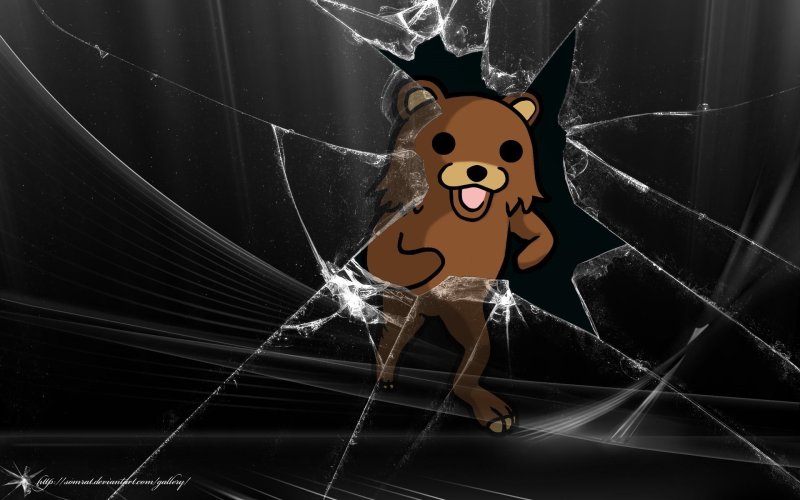 Обои на рабочий стол прикольные