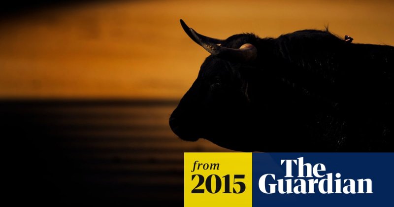 Голова быка