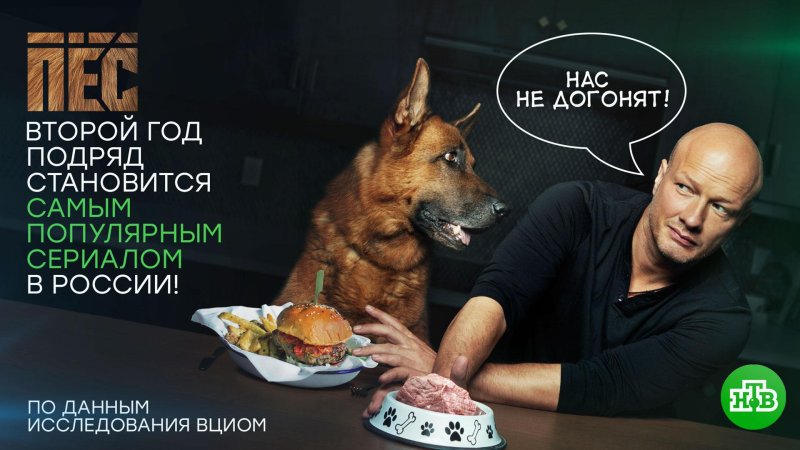 Никита Панфилов в сериале пес