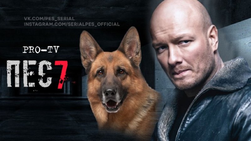Никита Панфилов в сериале пес