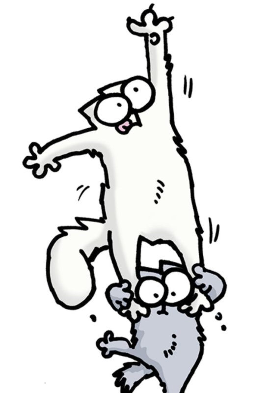 Кот Саймона цветной