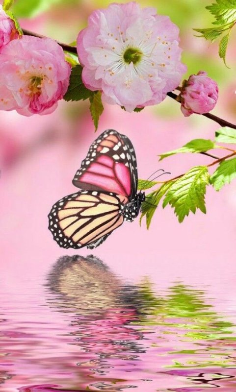 Красивая Весна