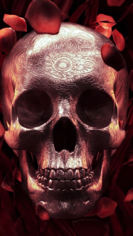 Череп на заставку