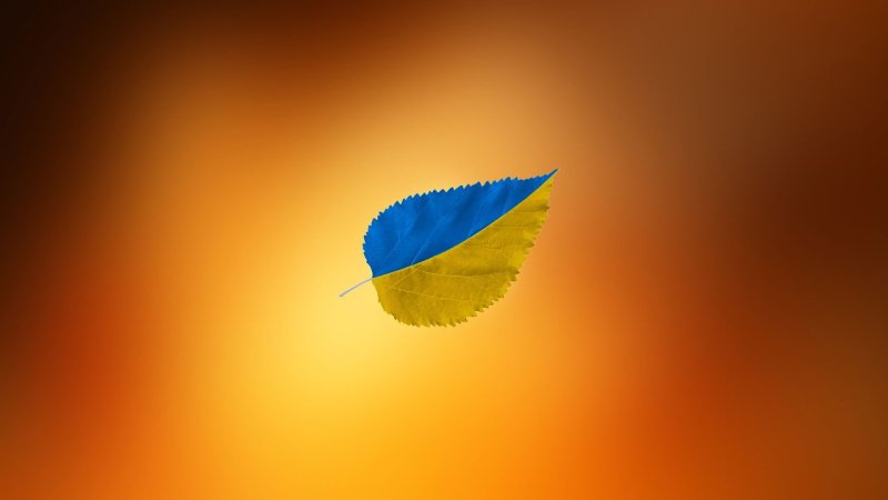 Желто голубой фон