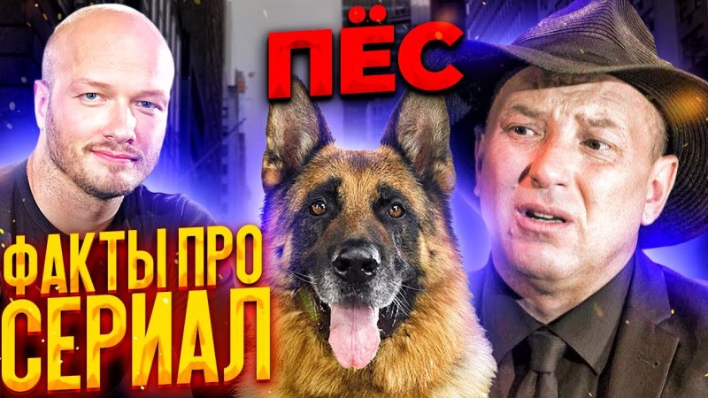 Книга пёс сериал