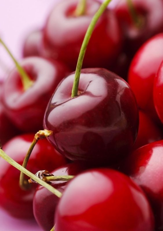 Вишня и черешня