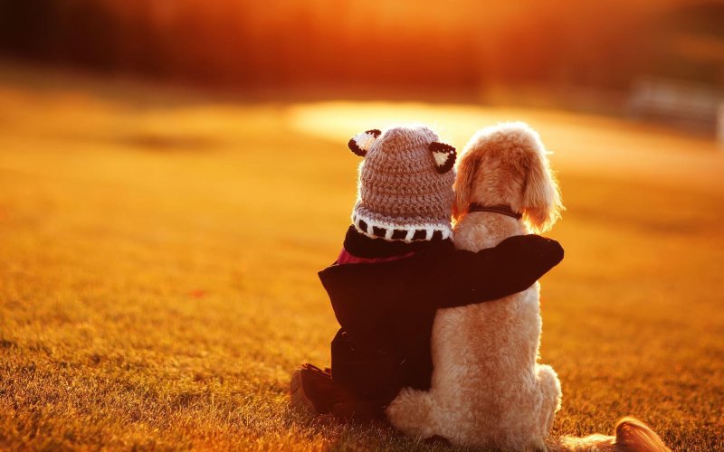 Радостные обои на рабочий стол