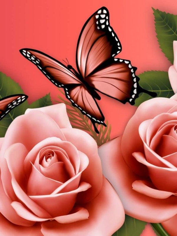 Красивые обои на телефон