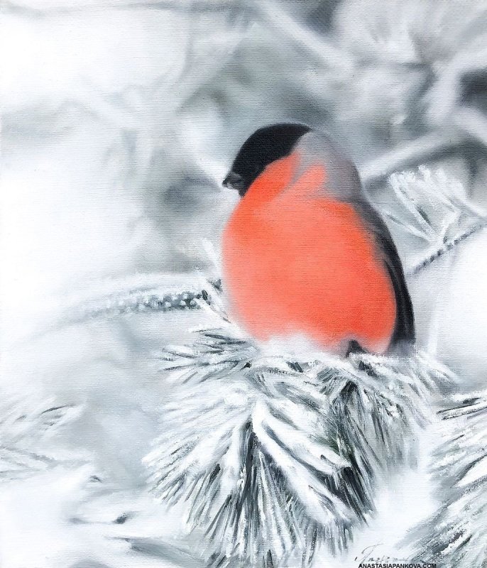 Снегирь свиристель Щур