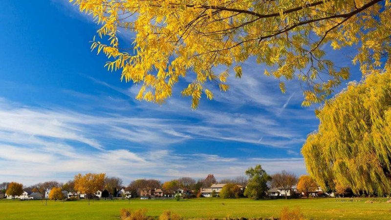 Красивая осень