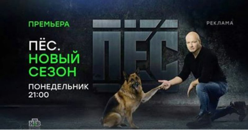 Лена леонидова сериал пес
