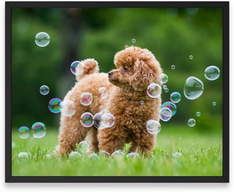 Фон мыльные пузыри