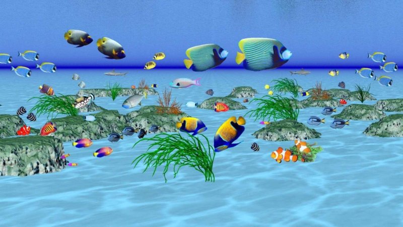 Скринсейвер рыбки