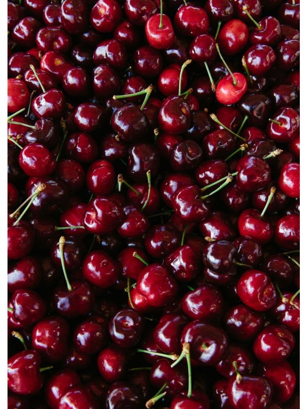 Вишня ягода