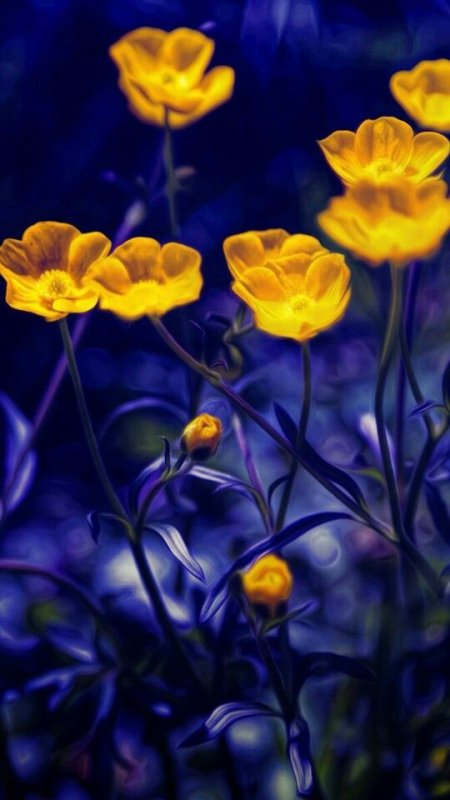 Желто синие цветы