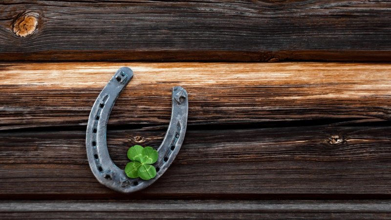 Четырехлистный Клевер с подковой