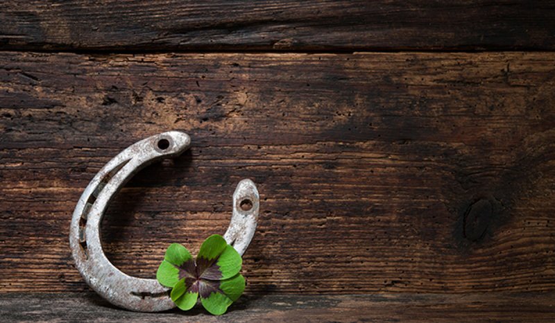 Четырехлистный Клевер с подковой