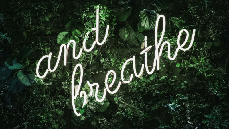 Подсветка слов