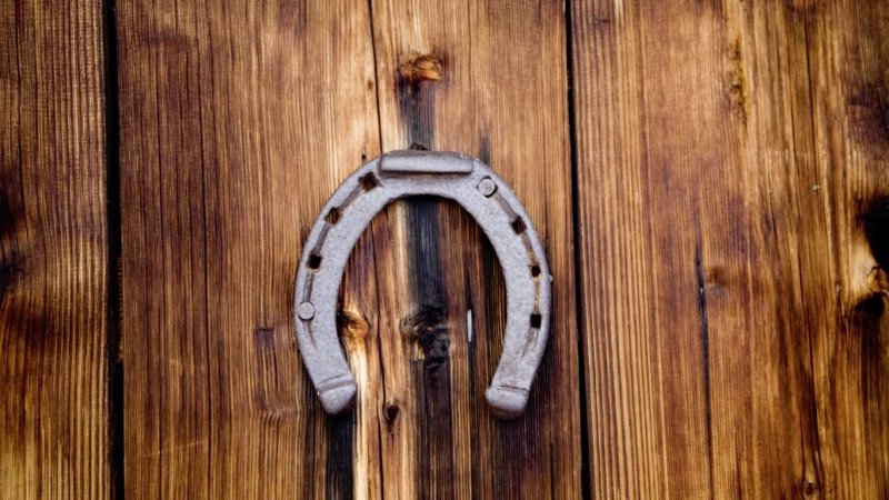 Подкова на двери