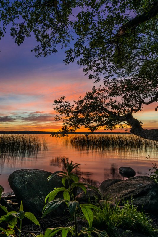 Красивая природа