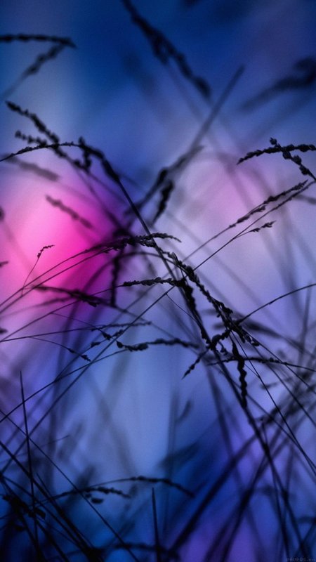 Фон на телефон красивые