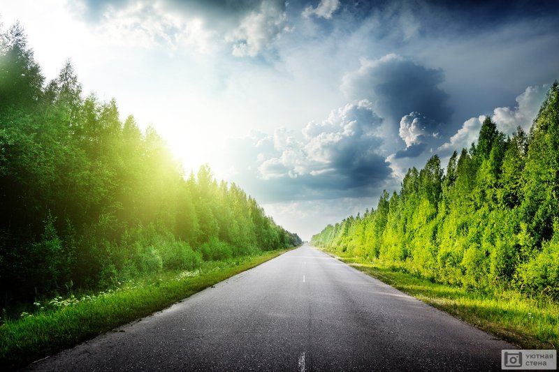 Природа дорога