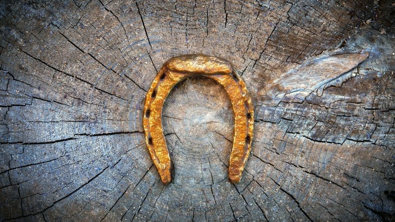 Фон с подковой