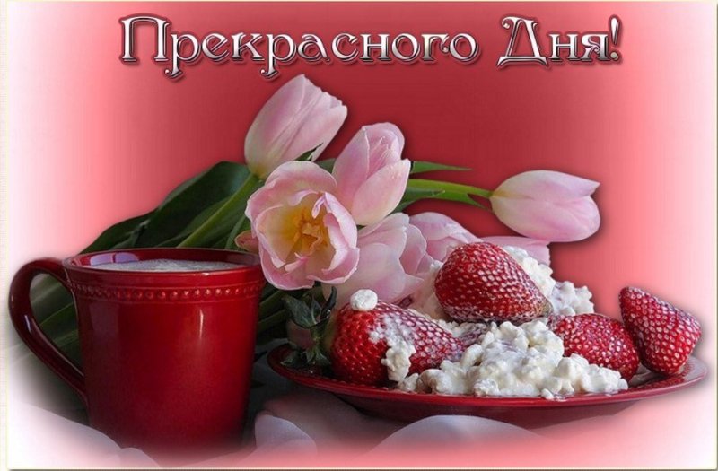 Открытка прекрасный день