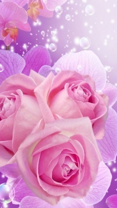 Розовые цветы