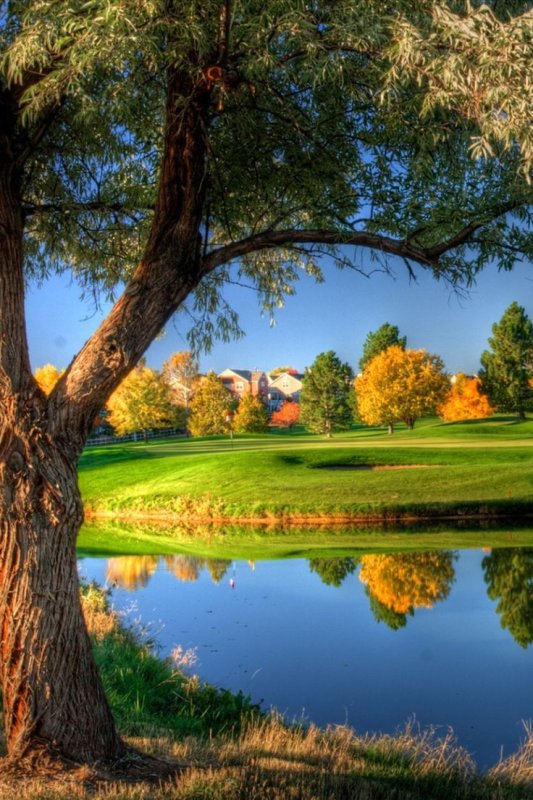 Красота природы