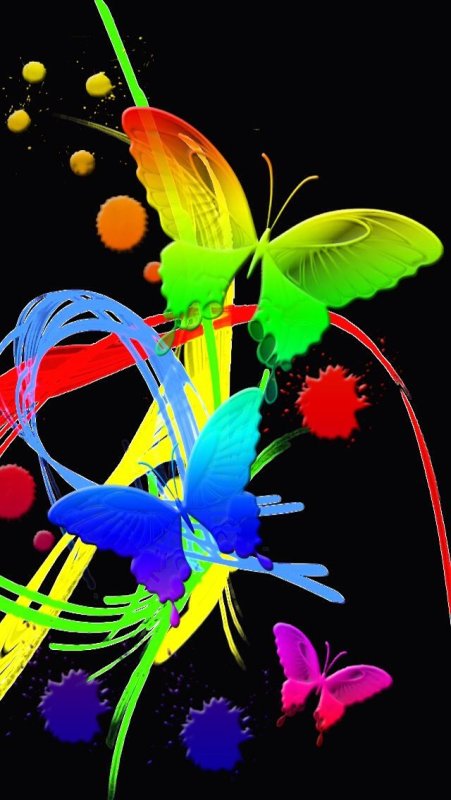 Бабочки красочные