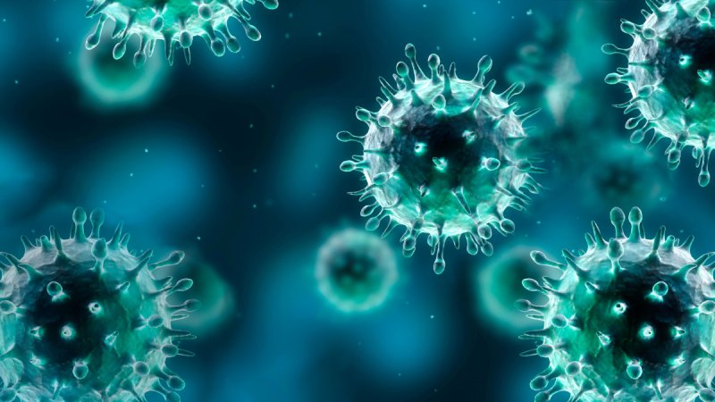 Фон по микробиологии