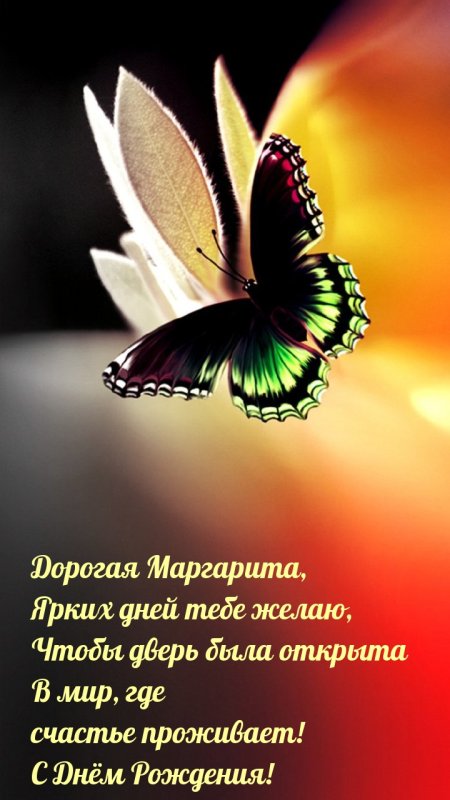 Заставка бабочки