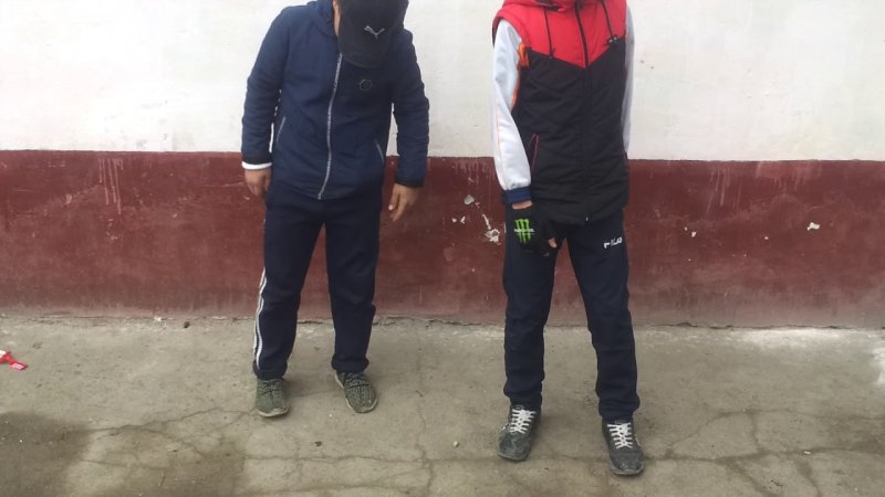 Обои Абу бандит