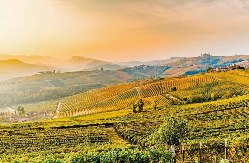 Италия виноградники Тосканы