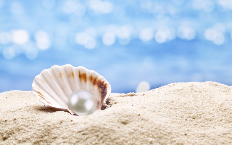 Ракушки жемчужницы морские