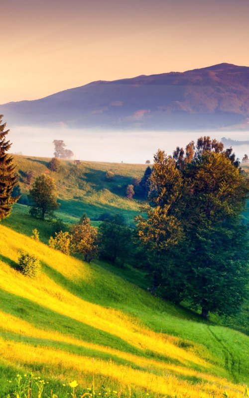 Красивый пейзаж