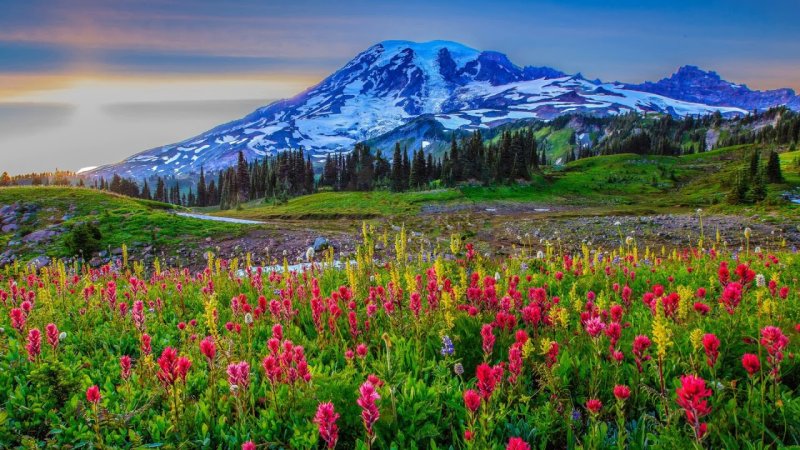 Альпийские Луга Кавказа