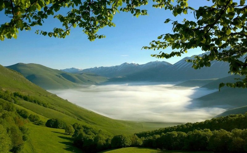 Зеленые холмы горный Алтай