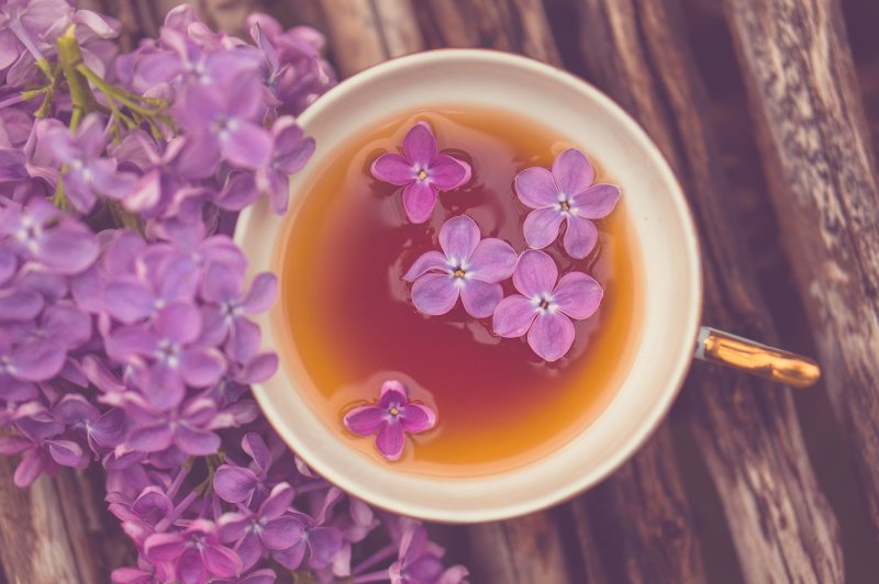 Цветы в кружке